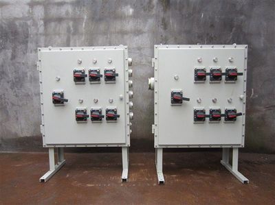 上海日为不锈钢防爆电器产品图鉴 防爆配电箱、动力箱与照明箱